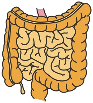 大腸がん　外科